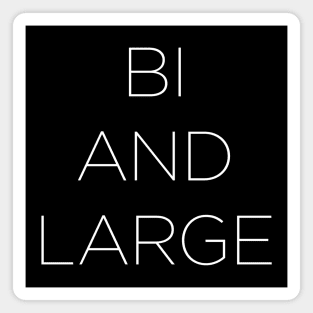 BI AND LARGE Magnet